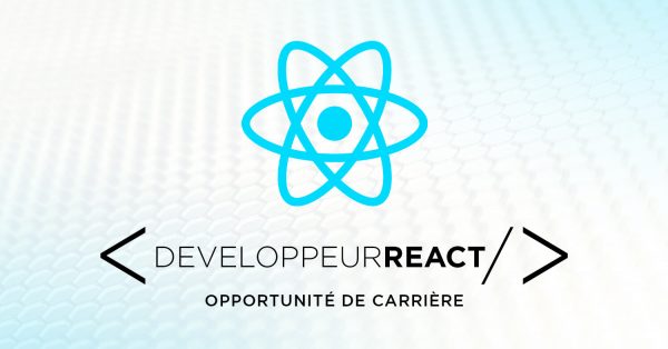 Visuel emploi developpeur