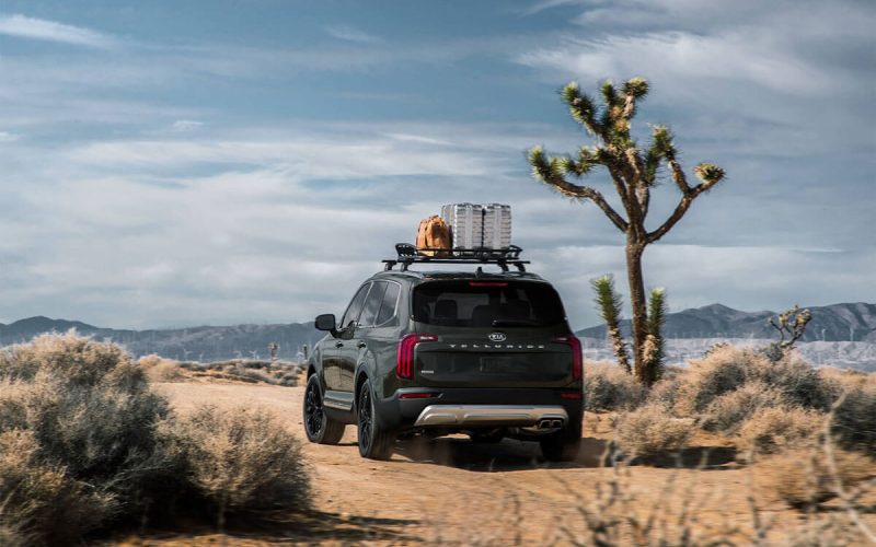 Kia telluride desert 1